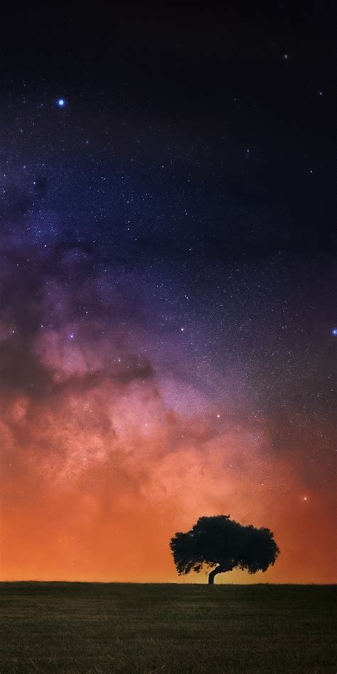 1080x2160 Starry Sky In Open Field One Plus 5thonor 7xhonor View 10
