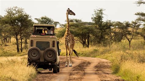 La Tanzanie Royaume Du Règne Animal Calliope Travel