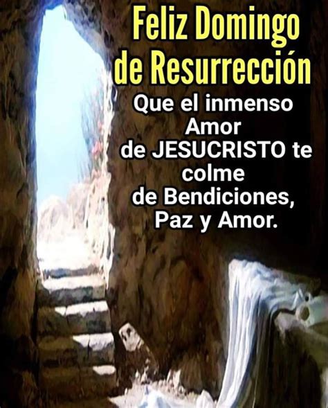 Reflexión Domingo De Pascuas De Resurrección 2020 La Chacrita Online