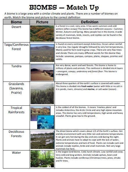 Best Images Of Identifying Biomes Worksheets Biome Characteristics My