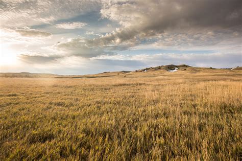 The Grasslands Are Growing Again In The Great Plains Wyoming Public Media