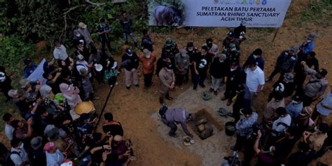Cegah Kepunahan Suaka Badak Sumatra Dibangun Di Aceh Timur Rmolsumutid