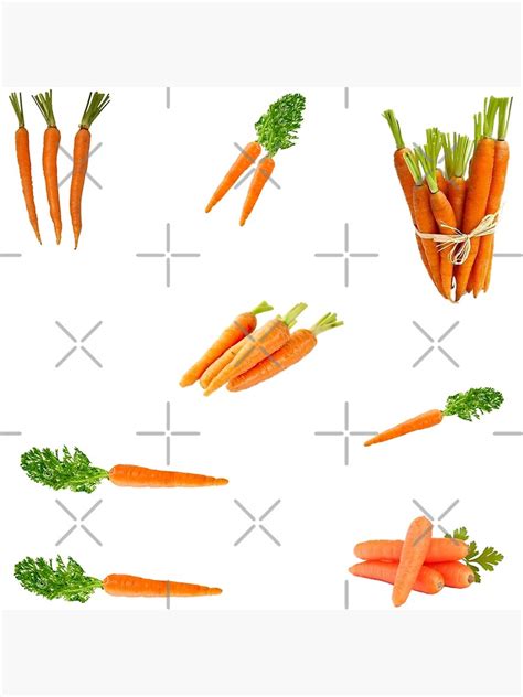 Carrots Sticker Pack Poster By Starseedgems Redbubble
