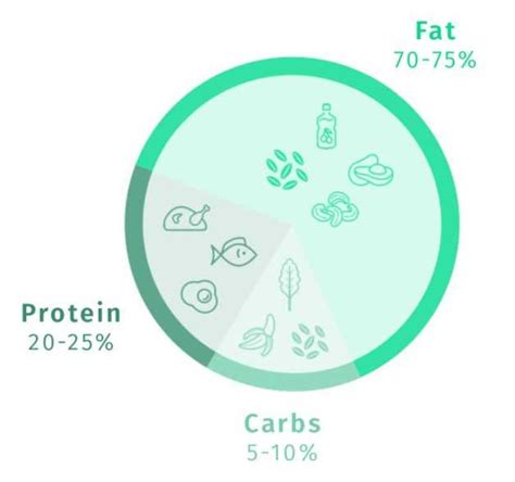 When you greatly limit your carb intake, your body needs to get its energy from another fuel source. Ketogenic Diet: Is It Really Worth the Hype? | 8fit