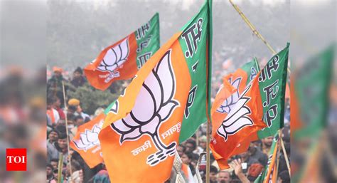 गुजरात ने निकाय चुनाव में भाजपा का दबदबा कायम, जानिए अब तक का परिणाम. Panvel Election results 2017: BJP sweeps Panvel Municipal ...