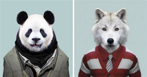 This Artist Spent 3 Years ‘dressing Zoo Animals Like Humans And The