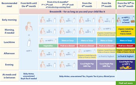 Check spelling or type a new query. Diet Plan 5 Month Old Baby - Diet Plan
