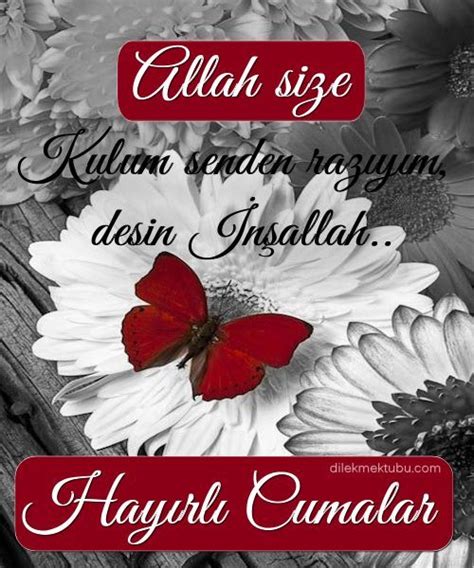 Öyle bir yaşaki rabbim, kulum senden razıyım desin…hayırlı cumalar! Hayırlı Cumalar Mesajları, 2020 | Mesajlar, Dini alıntılar ...