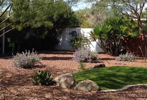 Join our friendly community that shares tips and ideas for gardens, along with seeds and plants. drought resistant but deer? blue bells, blue emu aka ...