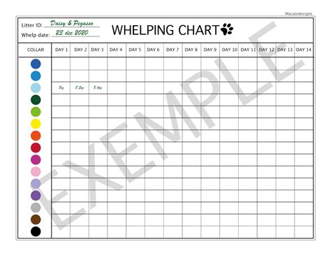 Whelping Chart Weight Gain Daily And Weekly Vaccination Etsy