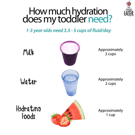 Hydration Tips For Toddlers My Little Eater
