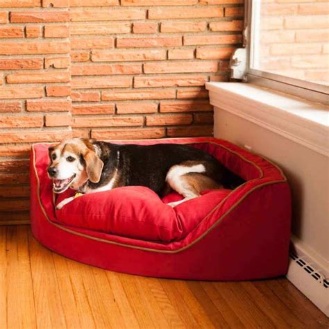 Luxury Square Dog Bed With Memory Foam By Snoozer Pet Products