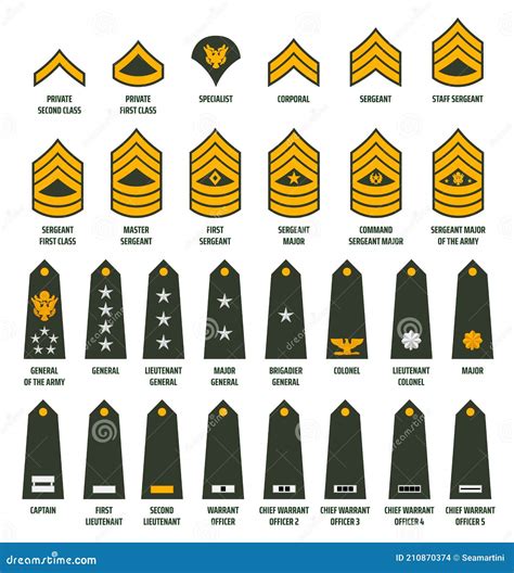 Enlisted Army Ranks Army Enlisted Rank Insignia Stock Vector Cloud