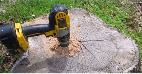 Removing A Tree Stump From Your Yard Just Got A Whole Lot Easier And