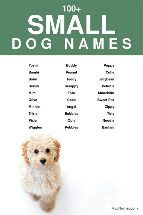 Pin On Dog Name Lists