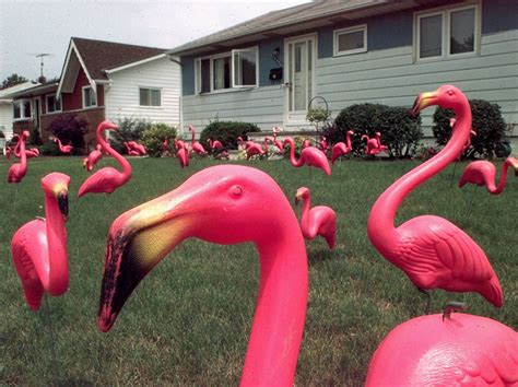 Donald Featherstone Creator Of The Pink Plastic Lawn Flamingo Dies