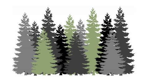 Free Trees Evergreen Vector Graphic On Pixabay Forest Clipart