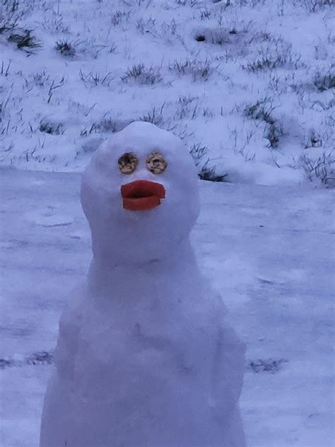 Psbattle This Cursed Snowman Rphotoshopbattles
