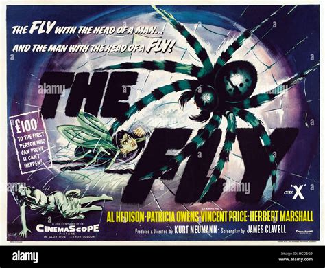 The Fly David Hedison Aka Al Hedison As The Human Fly Lower Left