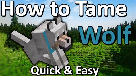 How To Tame A Wolf Minecraft Quick And Easy Youtube