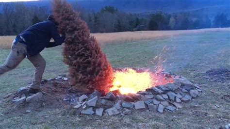 Pine Tree Fire Pit Old Christmas Tree Goes Up Quick Youtube