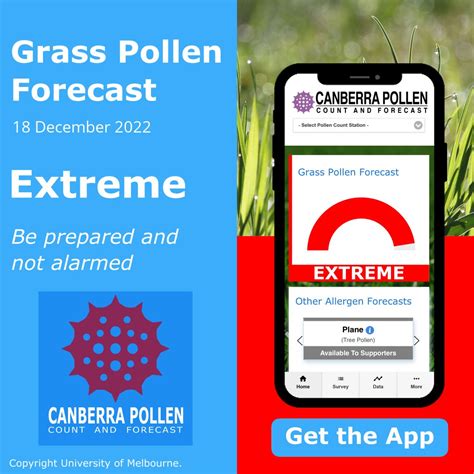 Canberra Pollen On Twitter Canberra Grass Pollen Forecast For Today