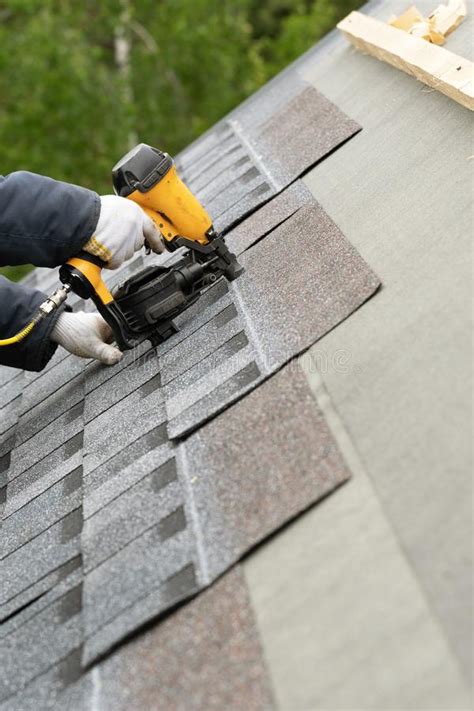 Pest control specialists in nashville, tennessee professional pest extermination, treatment. Pest Control Tips For Charlotte NC - News Performing Center
