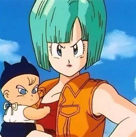 The Best Bulma Briefs Quotes Of All Time With Images