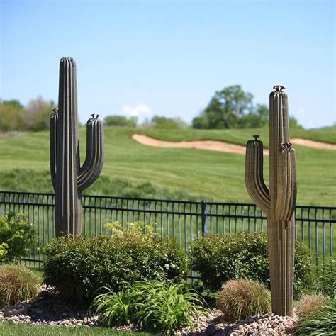 All cacti are able to be gathered, including succulent plants. Saguaro | Two-Arm in 2020 | Saguaro, Xeriscape, Backyard