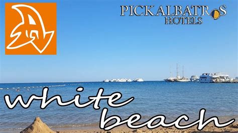 Египет Albatros White Beach 5 Хургда Отдых в Египте Beach Hotel