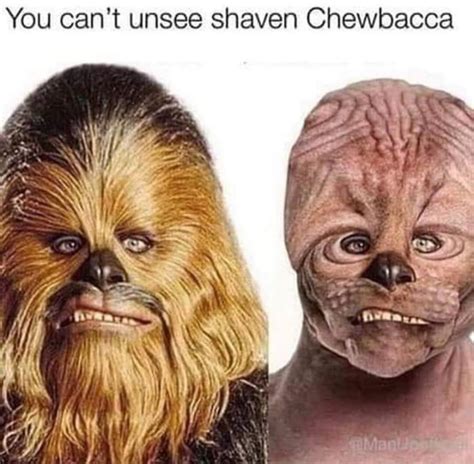 Shaven Chewbacca 9gag