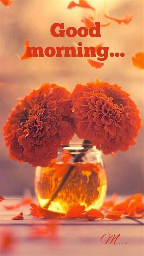 Orange Aesthetic Nature Aesthetic Flower Aesthetic Marigold