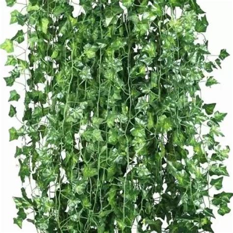Green Artificial Money Plant Creeper For Decoration Size 65 Inch At