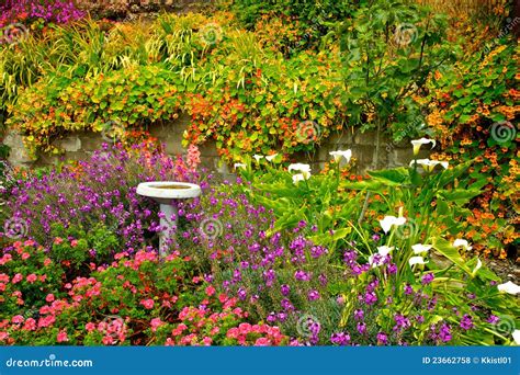 Lush Flowery Garden4 Stock Photo Image Of Water Color 23662758