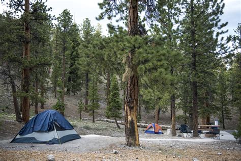 After 55m In Upgrades Mount Charleston Has Fewer Camp Sites Local