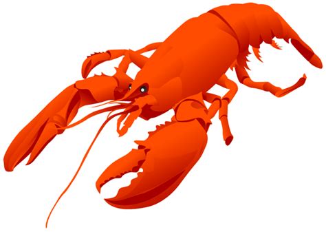 Lobster Png Transparent Image Download Size 675x481px