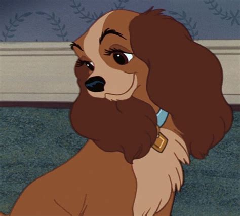 Lady Is The Female Protagonist Of Disneys 1955 Animated Feature Film Lady And The Tramp She