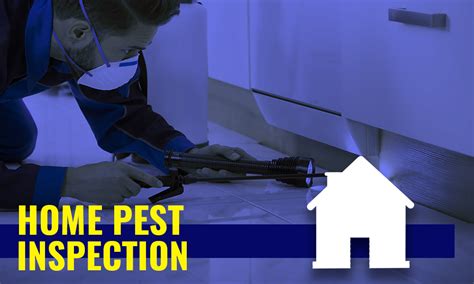 Residential Pest Control Denver Pest Management Colorado Pest
