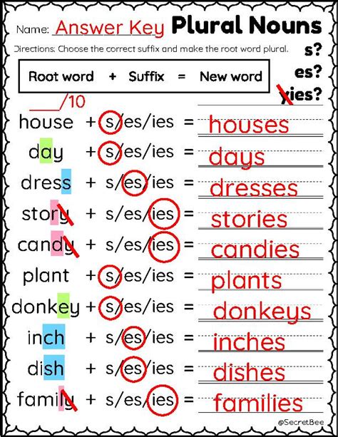 Plurals Add S Es Ies Mixed Plurals Plural Nouns Assessment Classful