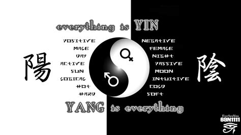 Okinawan Fighting Art Ti Yin Yang A Chinese Concept Of Duality