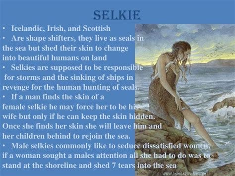 Selkie Icelandic Irish And Scottish Are Shape Shifters They Live