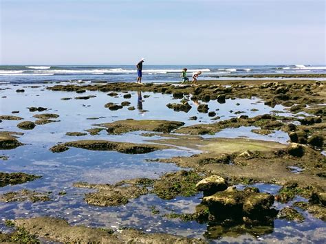 San Diego Beach Secrets A Place To Explore The Most