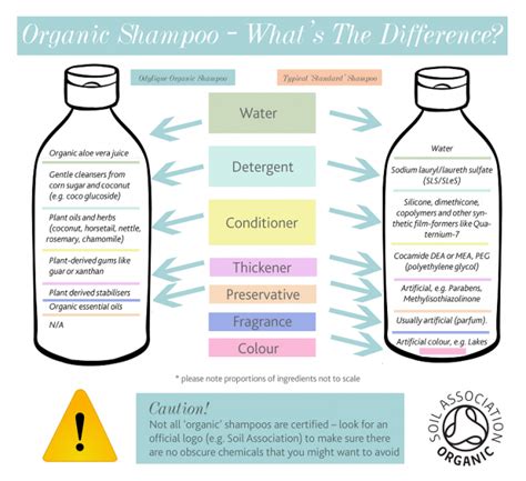 Organic Shampoo Infographic