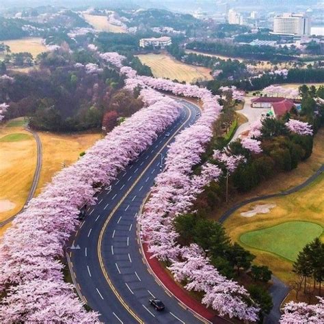 The Stunning Beauty Of These 10 Worlds Most Beautiful Roads Will Blow You