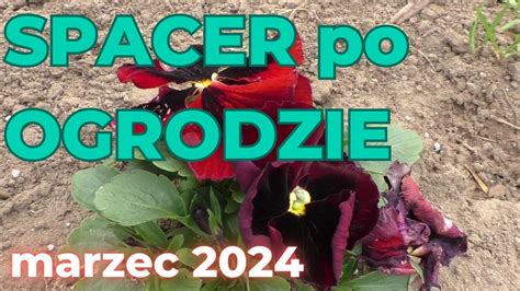 Wielkanocny Spacer Po Ogrodzie Marzec Pomocy Czy To Choroba