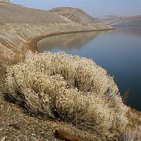 Columbia Plateau Trail Snake River — Washington Trails Association