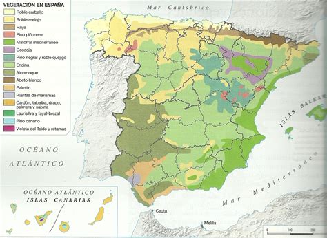 GeografÍa Regiones Biogeográficas De España