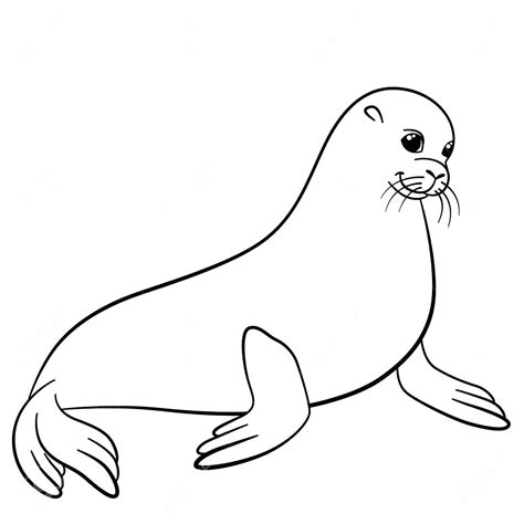 Harp Seal Drawing at GetDrawings | Free download