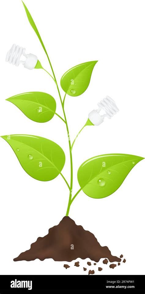 Light Bulb Tree Save Energy Vector Illustration Stock Vector Image