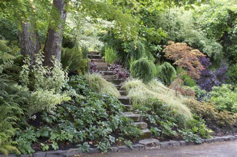 How To Create A Beautiful Hillside Garden Sloped Garden Hillside